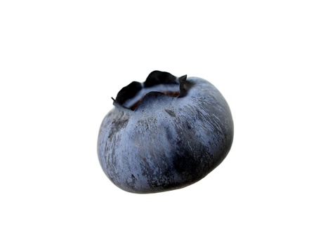 forest berry on white backgroundの写真素材