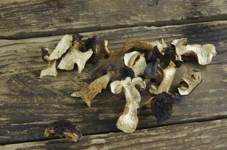 dry boletus on wooden plankの写真素材