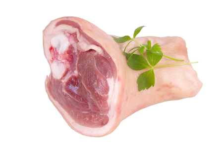 raw knuckle of pork on white backgroundの写真素材