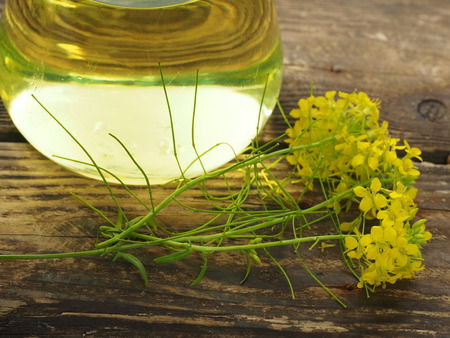 rapeseed blossom ant bottle with oilの写真素材