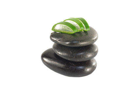 leaves of aloe with stones  on white backgroundの写真素材