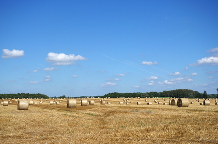 roll of hay in summer sceneryの写真素材