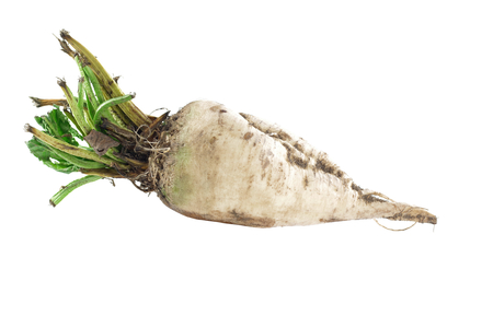 raw beet sweet on a white backgroundの写真素材