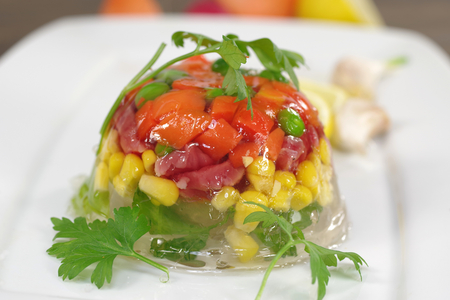appetizing jelly with meat and vegetableの写真素材