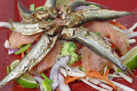 smoked salmon and sprats with vegetables and lemonの写真素材
