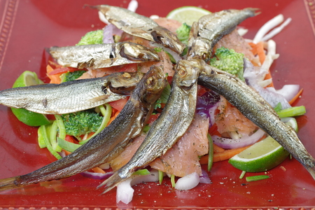 smoked salmon and sprats with vegetables and lemonの写真素材