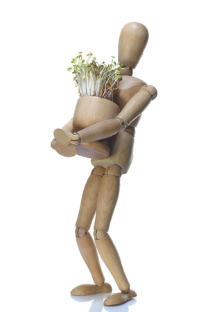  wooden dummy and pot with cuckooflower on white backgroundの写真素材