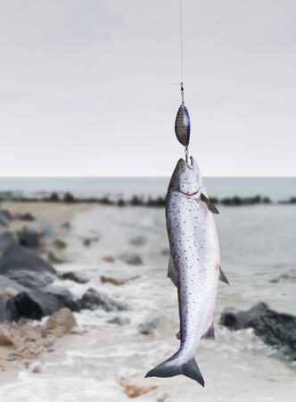 the salmon on fishing-rod on background of sea