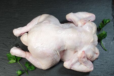 raw chicken with parsley on black plateの写真素材