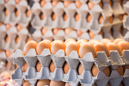 eggs in the package