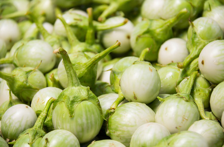 fresh eggplant in the natureの写真素材