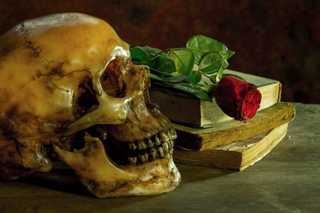 Still life with human skull with red rose, old book on woodenの写真素材