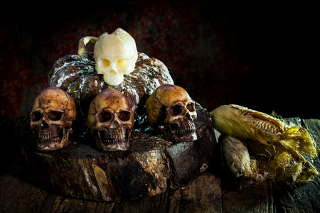 Still Life with skull and Pumpkinの写真素材