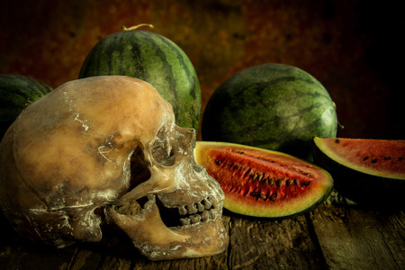 Still Life with Watermelon and skullの写真素材