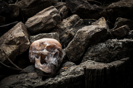 Still life with human skull on the rocksの写真素材