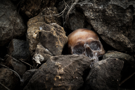 Still life with human skull on the rocksの写真素材