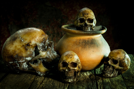 Still Life with a Skull and clay pot,earthenwareの写真素材