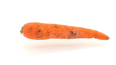Rotten carrot isolated on white backgroundの写真素材
