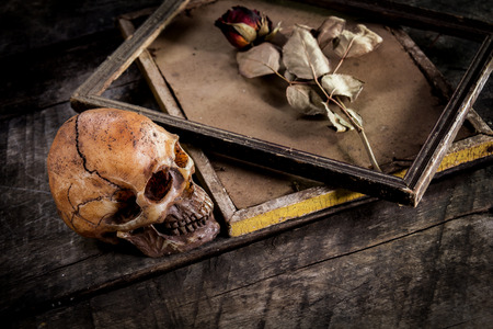 still life with human skull and roses dried in a picture frame on the old wooden backgroundの写真素材