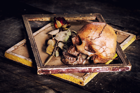 still life with human skull and roses dried in a picture frame on the old wooden backgroundの写真素材