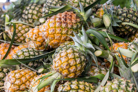 Pile of pineapples at the marketの写真素材