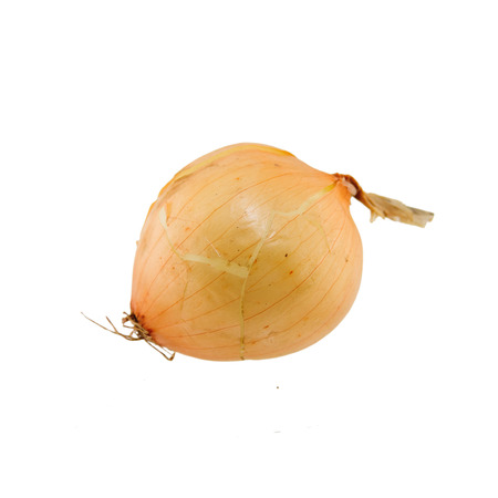 Onion isolated on white backgroundの写真素材