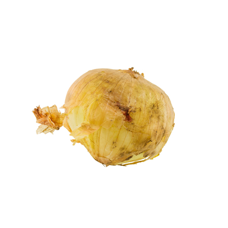 Onion isolated on white backgroundの写真素材