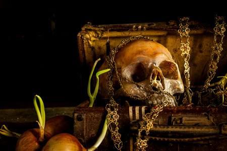 Still life with human skull with old treasure chest and gold, diamond, jewelry,corn shoots, onion shoots on wooden table backgroundの写真素材