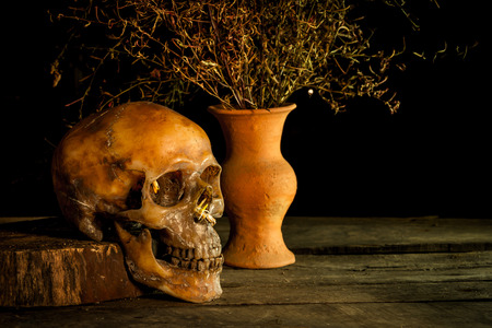 Still Life with Skull and vase,earthenware on wooden backgroundの写真素材