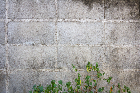 Old concrete block wall background textureの写真素材