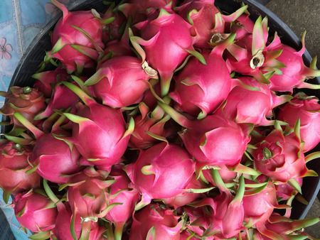 Dragon fruit cooked on basket in Thailand.の写真素材