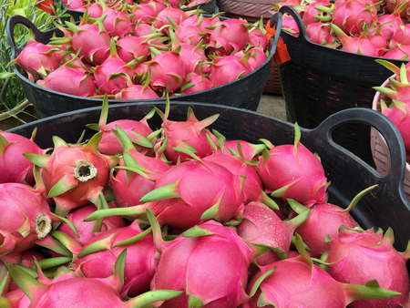 Dragon fruit cooked on basket in Thailand.の写真素材