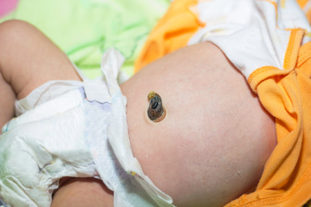 Newborn baby navelの写真素材