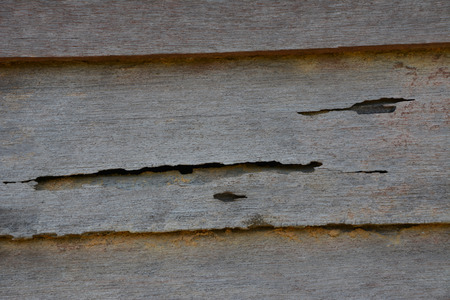 The woodenの写真素材