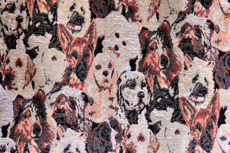 Carpet flooring the toon stripes many dogs