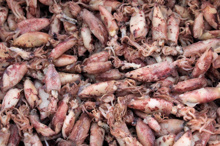 Squid , dried food