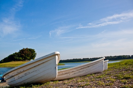 Rowing on the lake.の写真素材