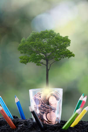 Tree growing from a tree and business or finance saving money and business growth conceptの写真素材