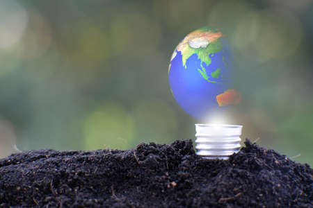 Tree growing from a tree and business or finance saving money and business growth conceptの写真素材