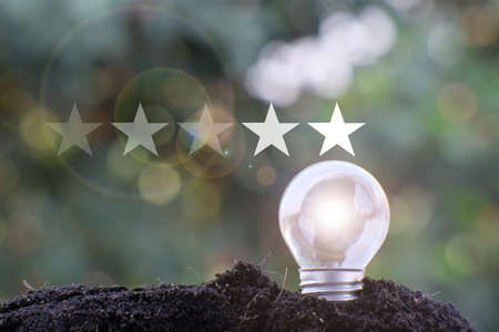 energy saving light bulb and business or business growth concept