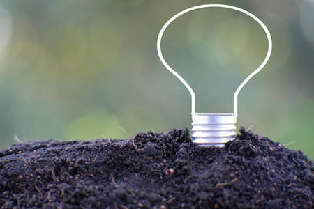 energy saving light bulb and business or business growth conceptの写真素材