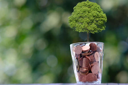Coins in a glass with a tree growing from it. Save money for the future.