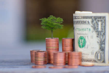 stack of coin with on table background and saving money and business growth conceptの写真素材