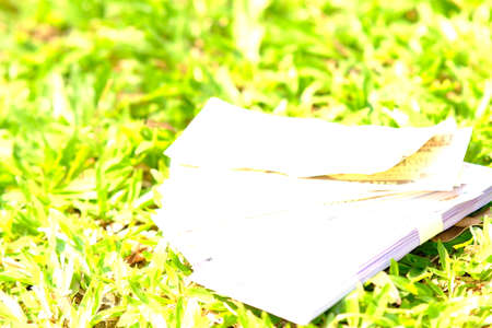Blank paper on the green grass in the park. Selective focus.の写真素材