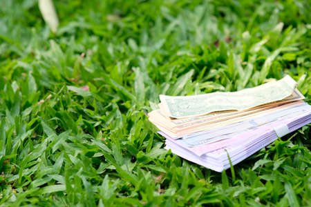 Stack of money on green grass background, Business and finance concept.の写真素材