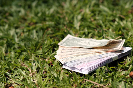 Money on the grass in the park. The concept of saving money.の写真素材