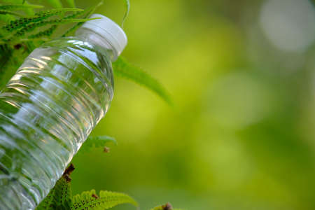 bottle of water in green natural background and spaceの写真素材
