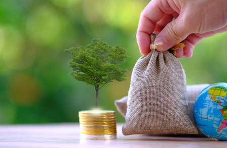 Hand putting money bag with tree on top of coins. Save money concept.の写真素材