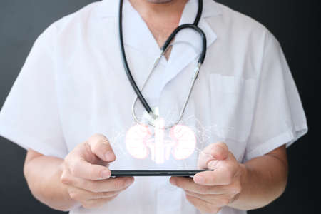 Doctor holding stethoscope and digital tablet with human kidneys on dark background, closeupの写真素材