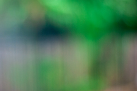 light glitter vintage  background,bokeh background,defocused .Happy Birthday,Valentine day ,Christmas lightsの写真素材